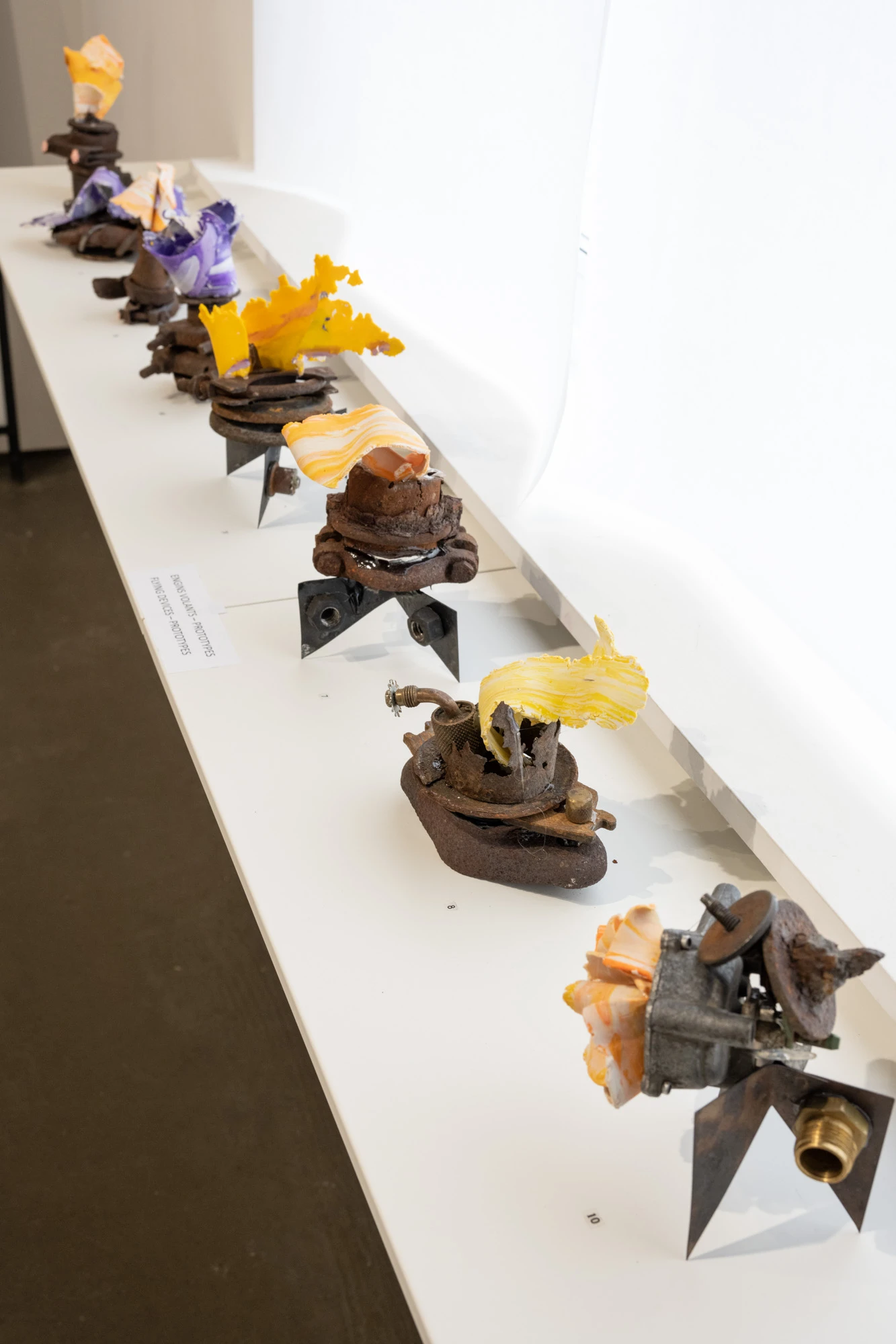 Espèce en voie d'apparition - expo 1 - 016