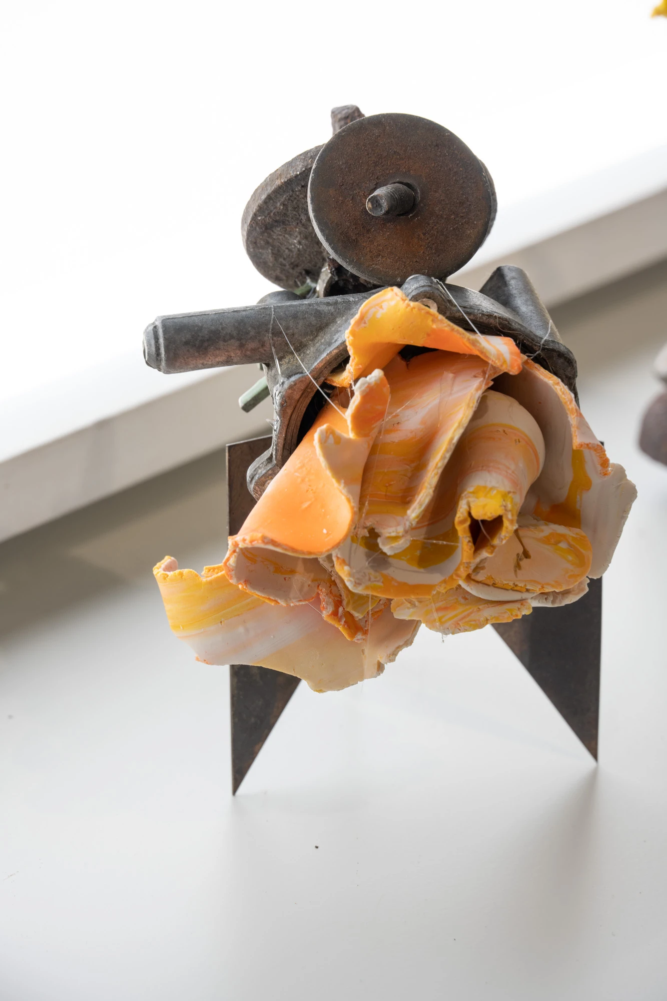 Espèce en voie d'apparition - expo 1 - 018