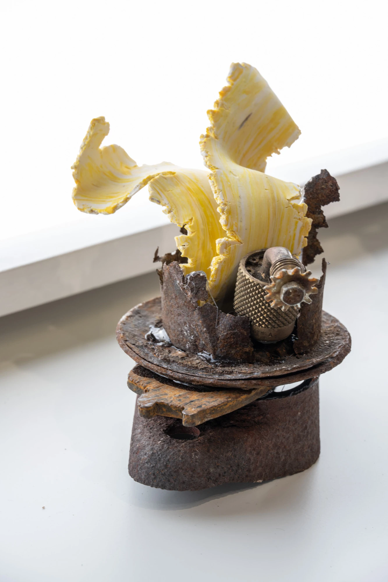 Espèce en voie d'apparition - expo 1 - 019