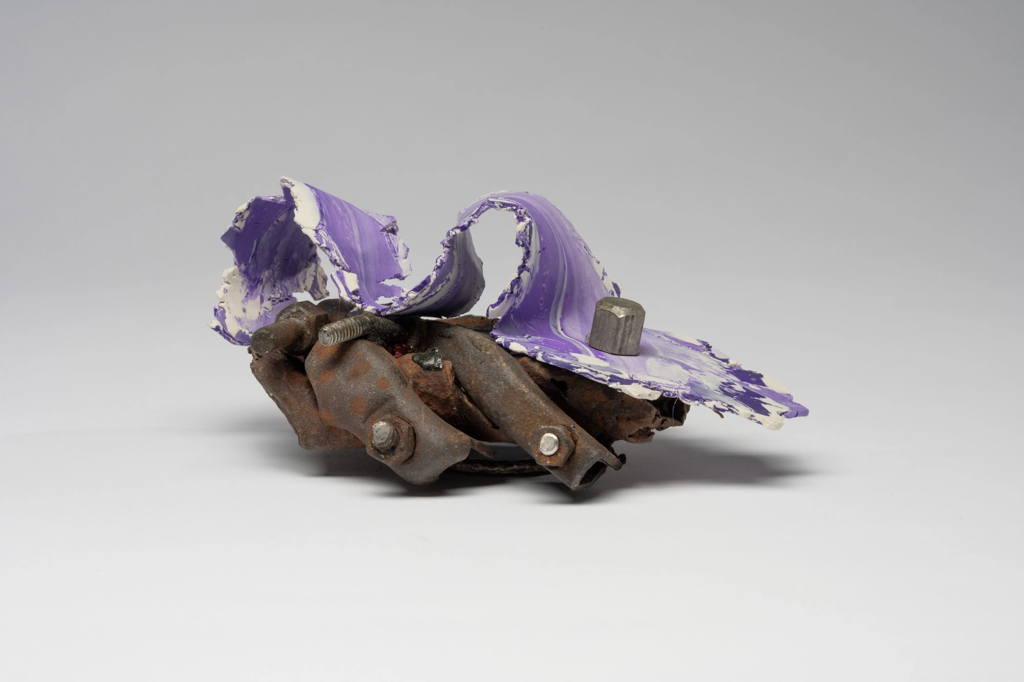 Espèce en voie d'apparition - expo 1 - 029