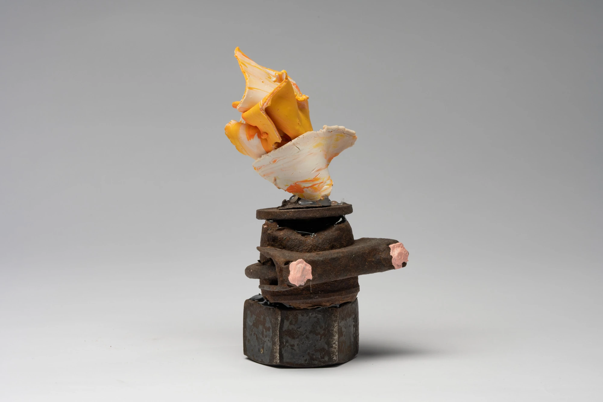 Espèce en voie d'apparition - expo 1 - 030