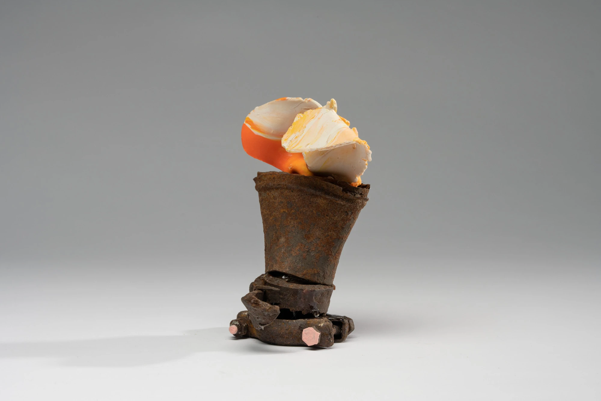 Espèce en voie d'apparition - expo 1 - 031