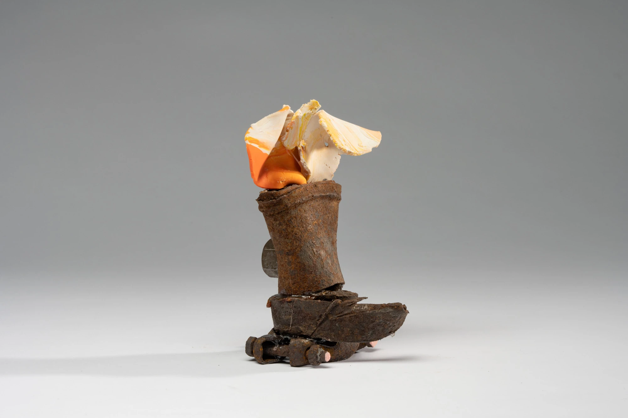 Espèce en voie d'apparition - expo 1 - 032