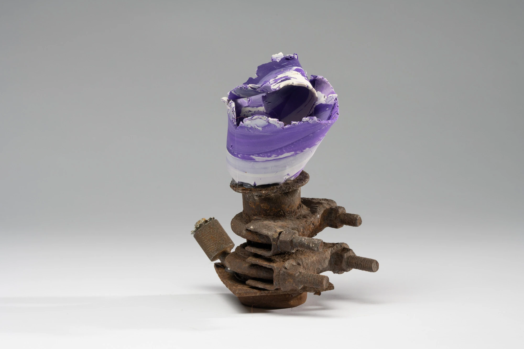 Espèce en voie d'apparition - expo 1 - 033