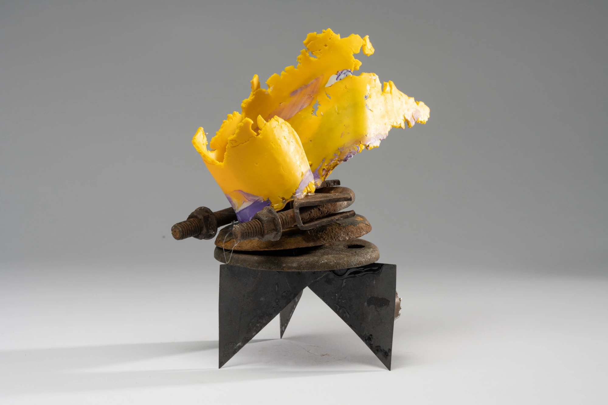 Espèce en voie d'apparition - expo 1 - 035