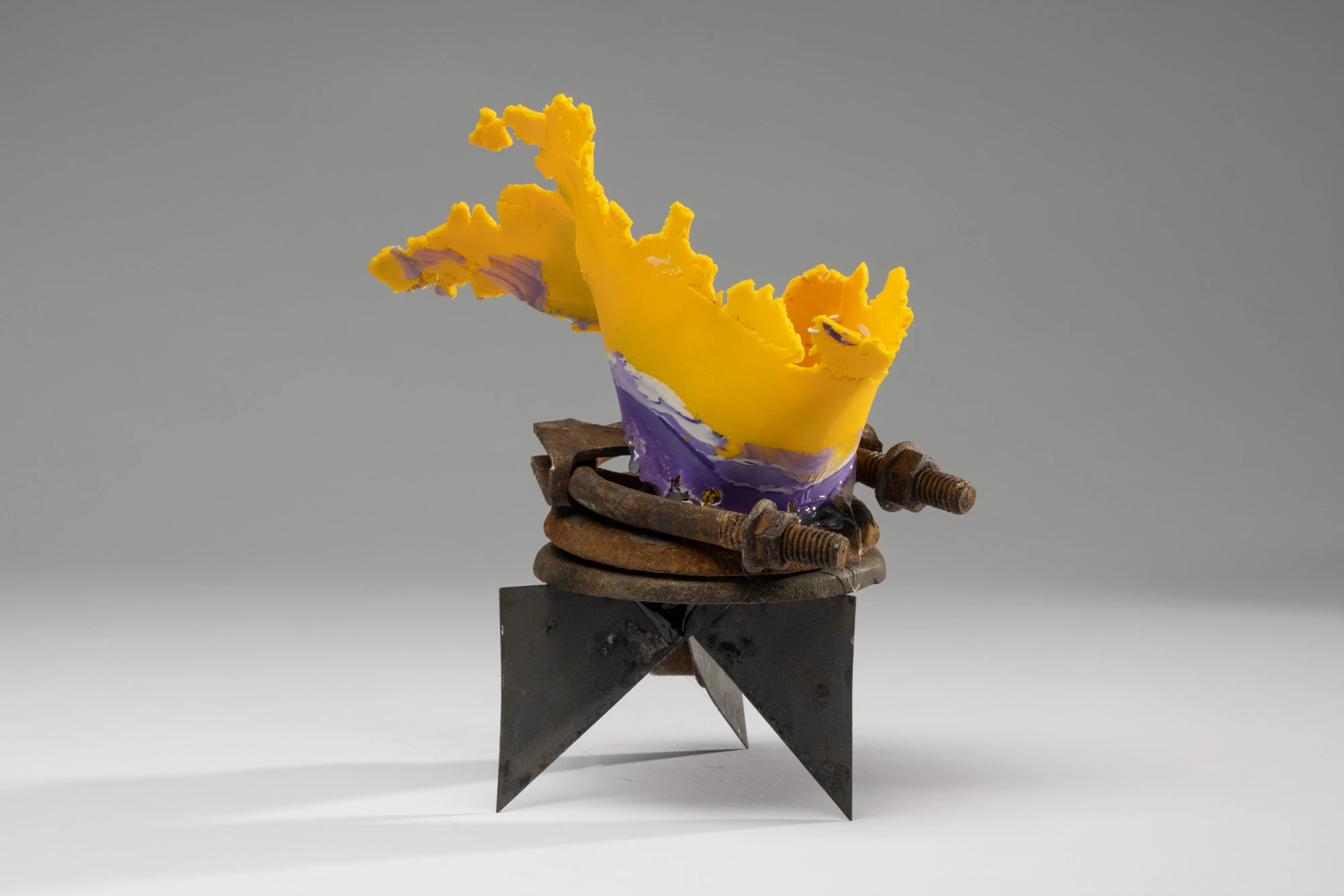 Espèce en voie d'apparition - expo 1 - 036