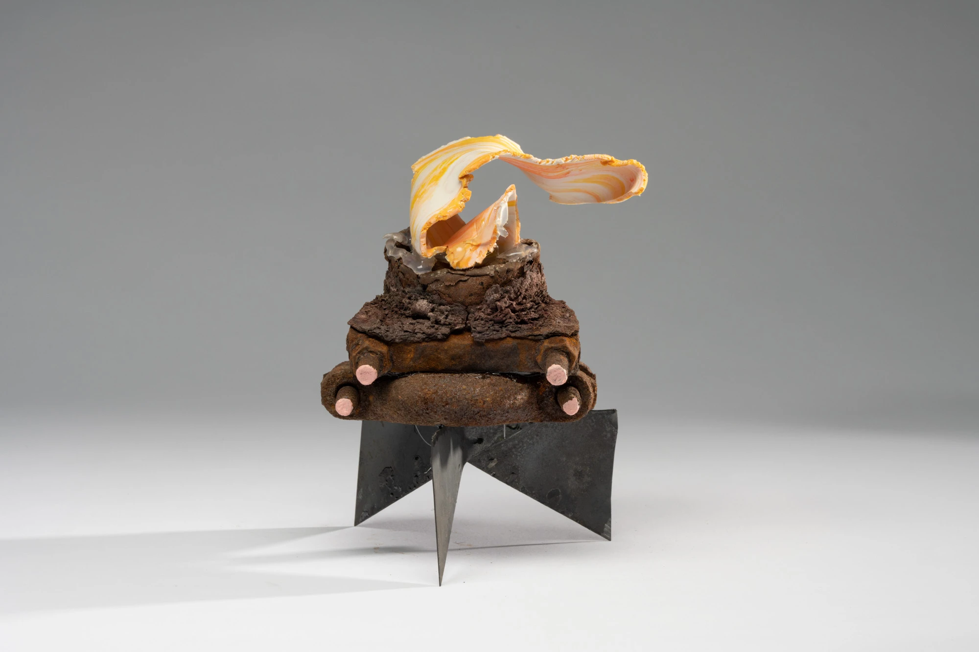 Espèce en voie d'apparition - expo 1 - 037