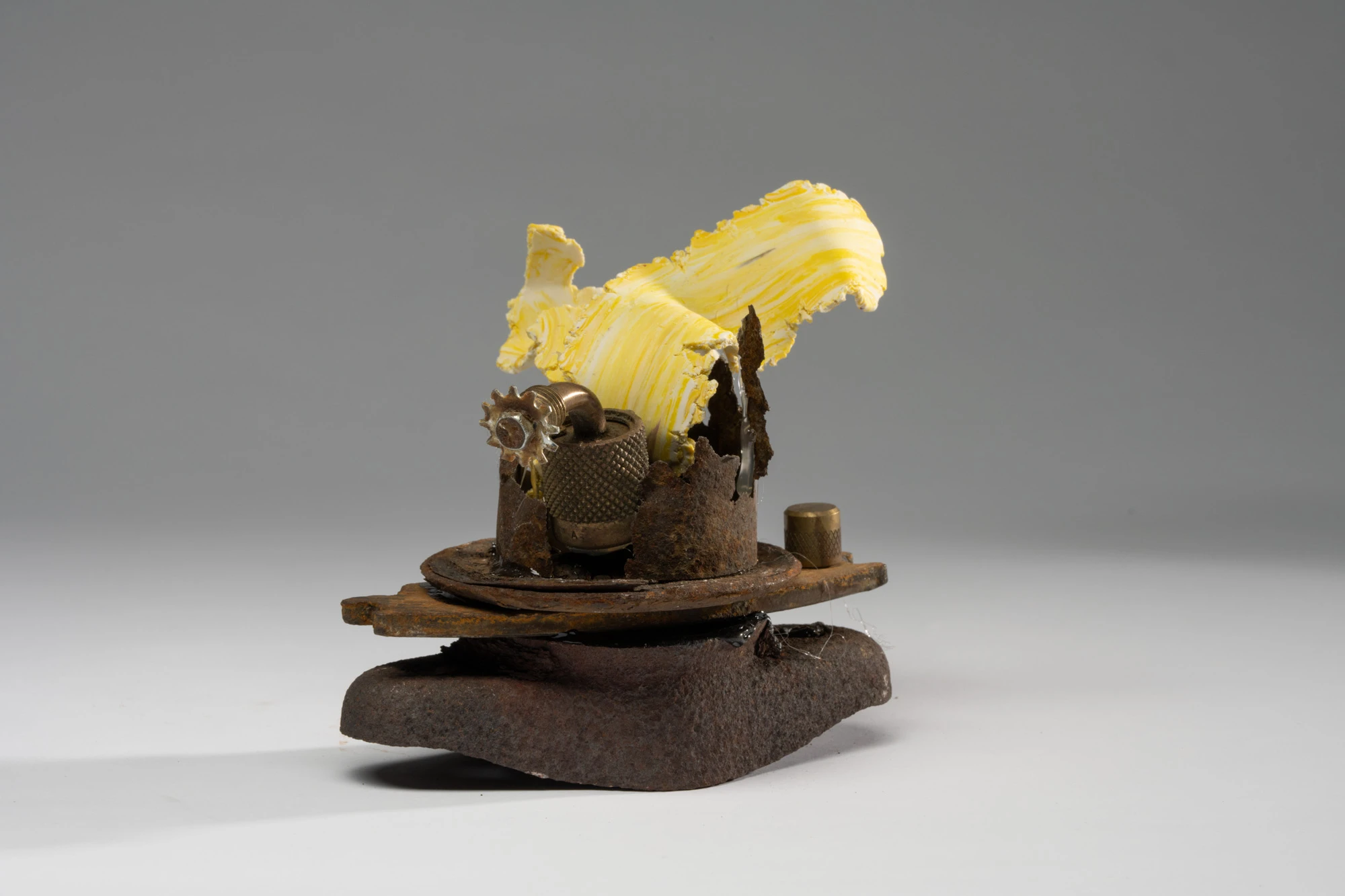 Espèce en voie d'apparition - expo 1 - 039