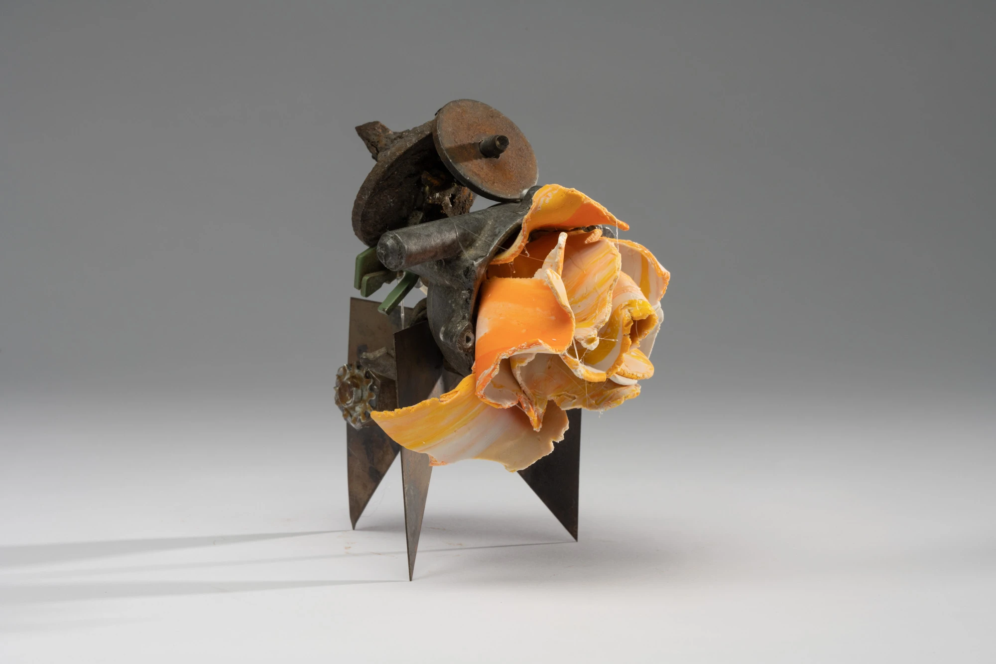 Espèce en voie d'apparition - expo 1 - 040