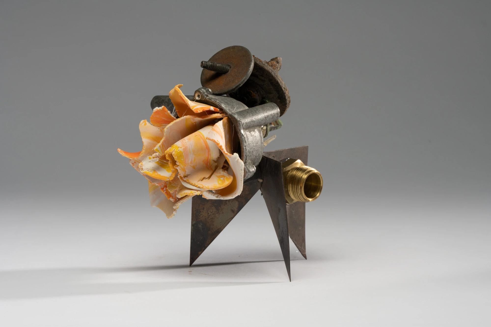 Espèce en voie d'apparition - expo 1 - 041