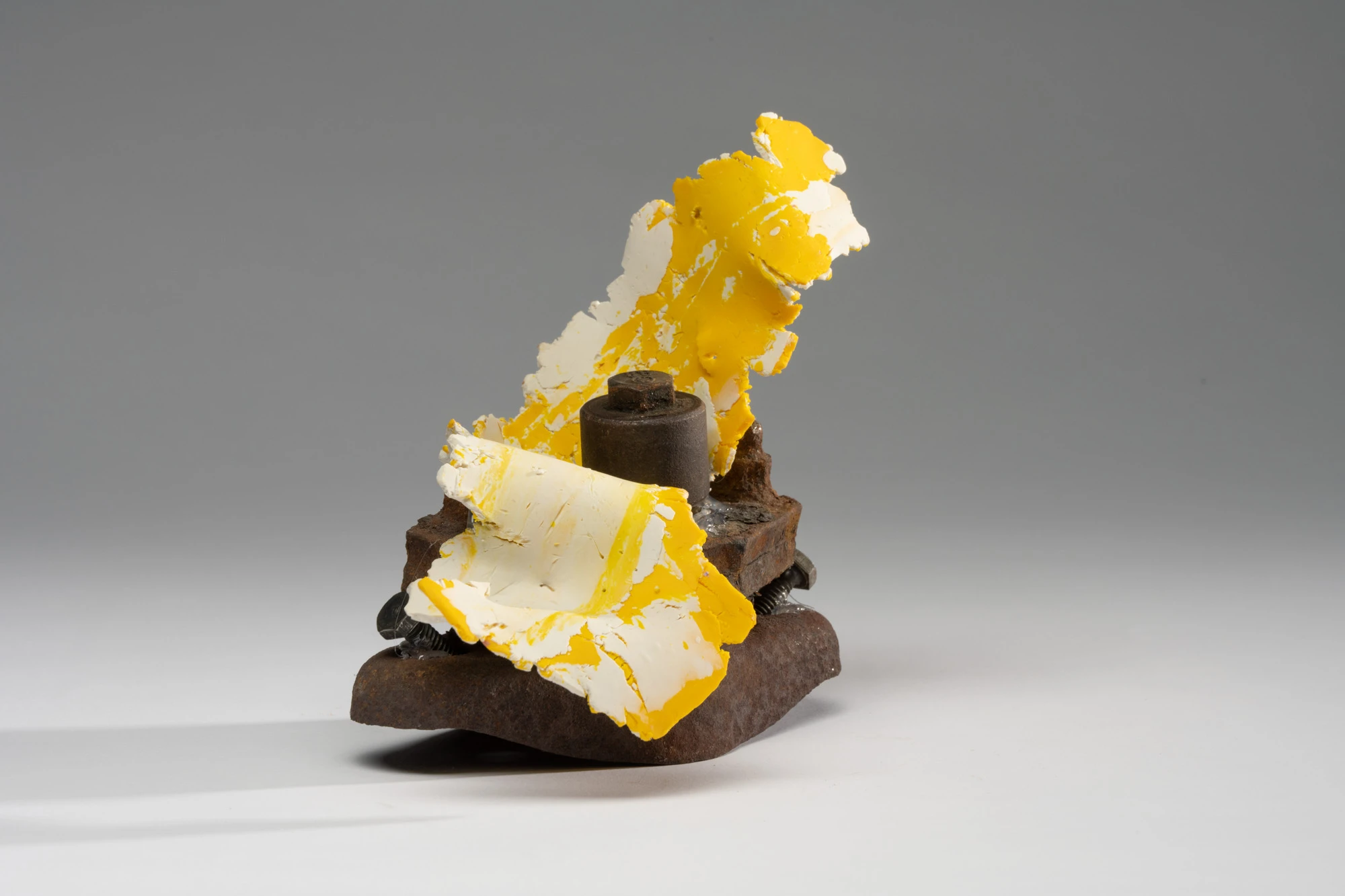 Espèce en voie d'apparition - expo 1 - 042