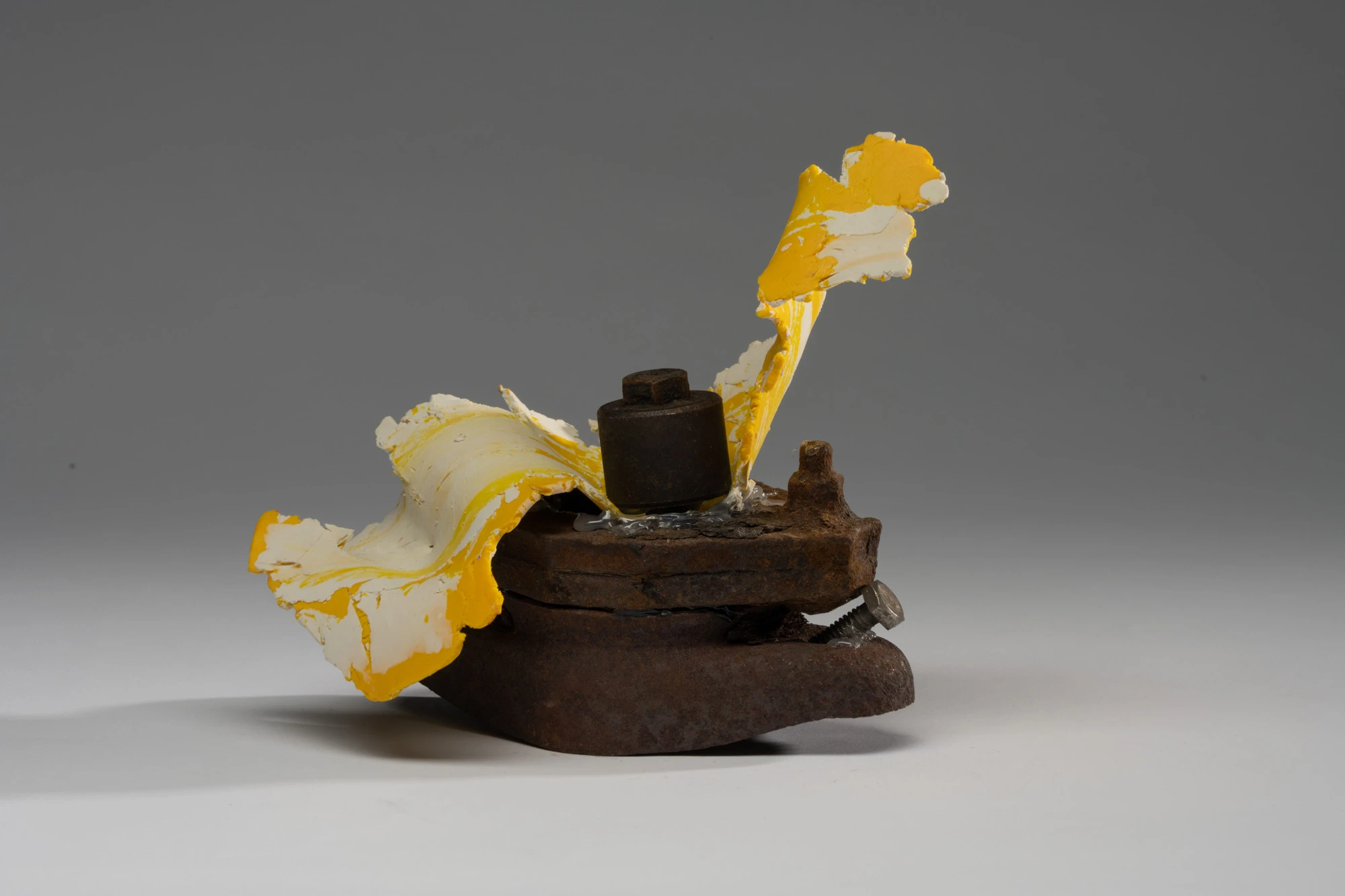 Espèce en voie d'apparition - expo 1 - 043