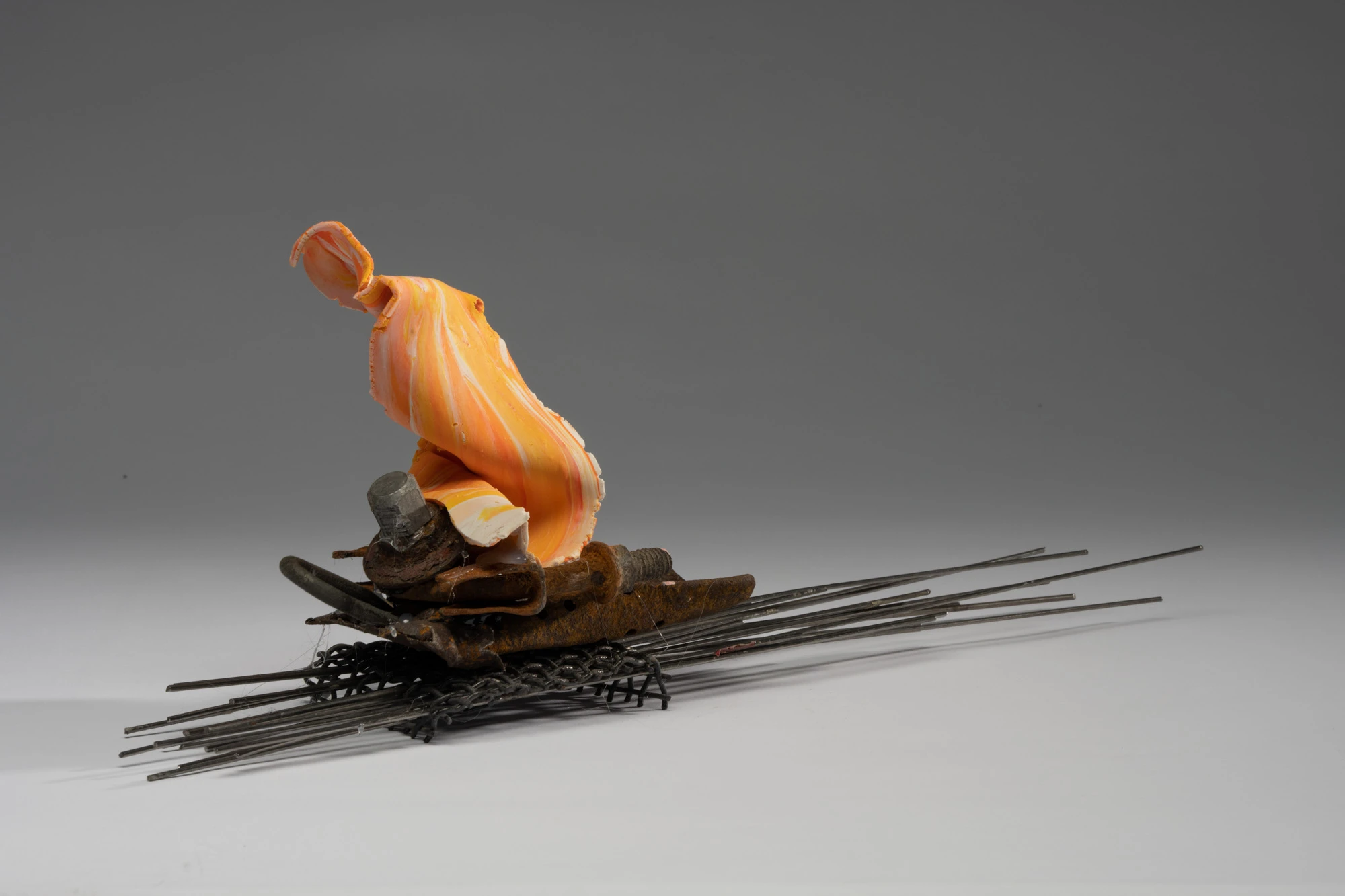 Espèce en voie d'apparition - expo 1 - 044