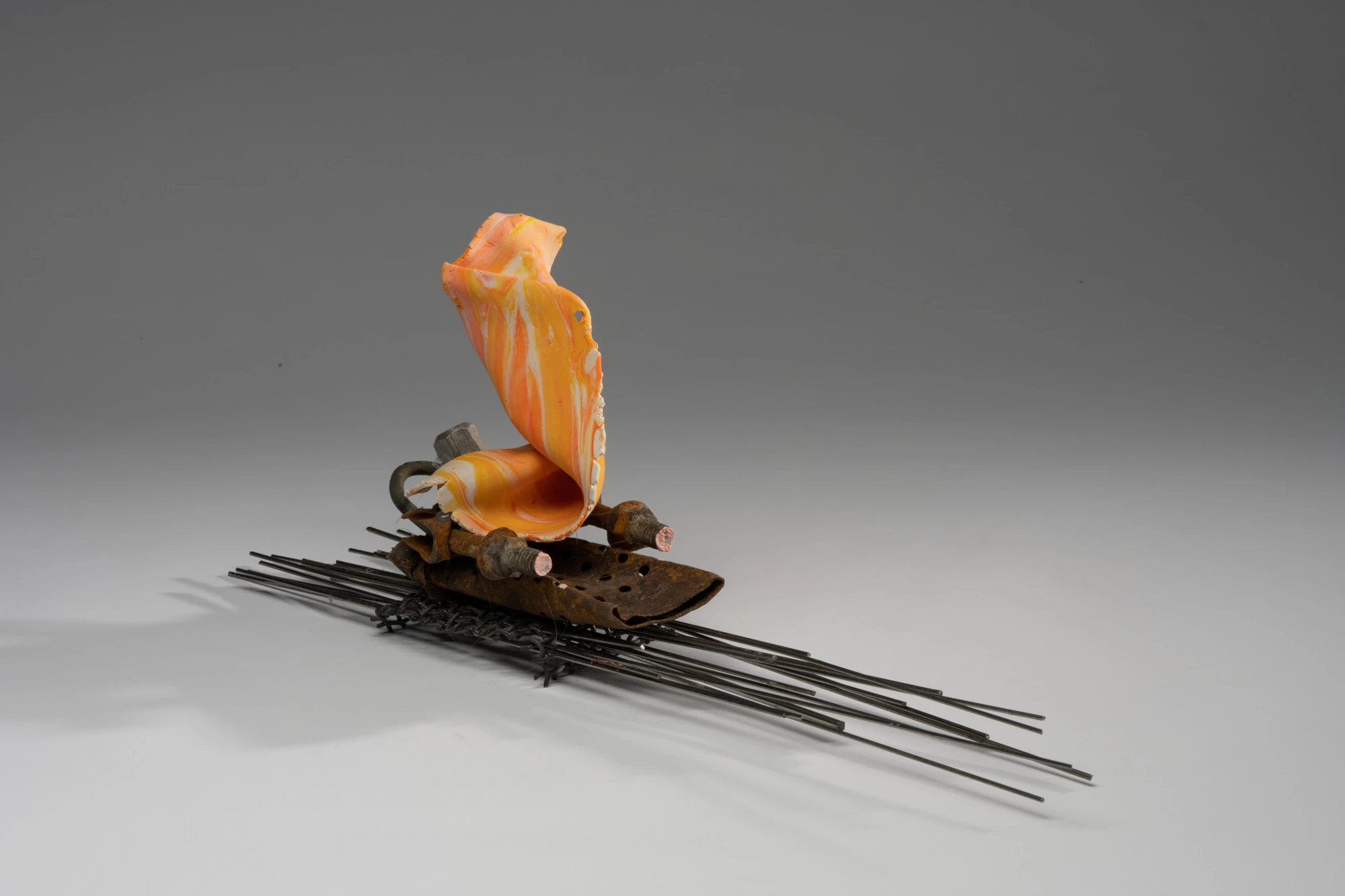 Espèce en voie d'apparition - expo 1 - 045