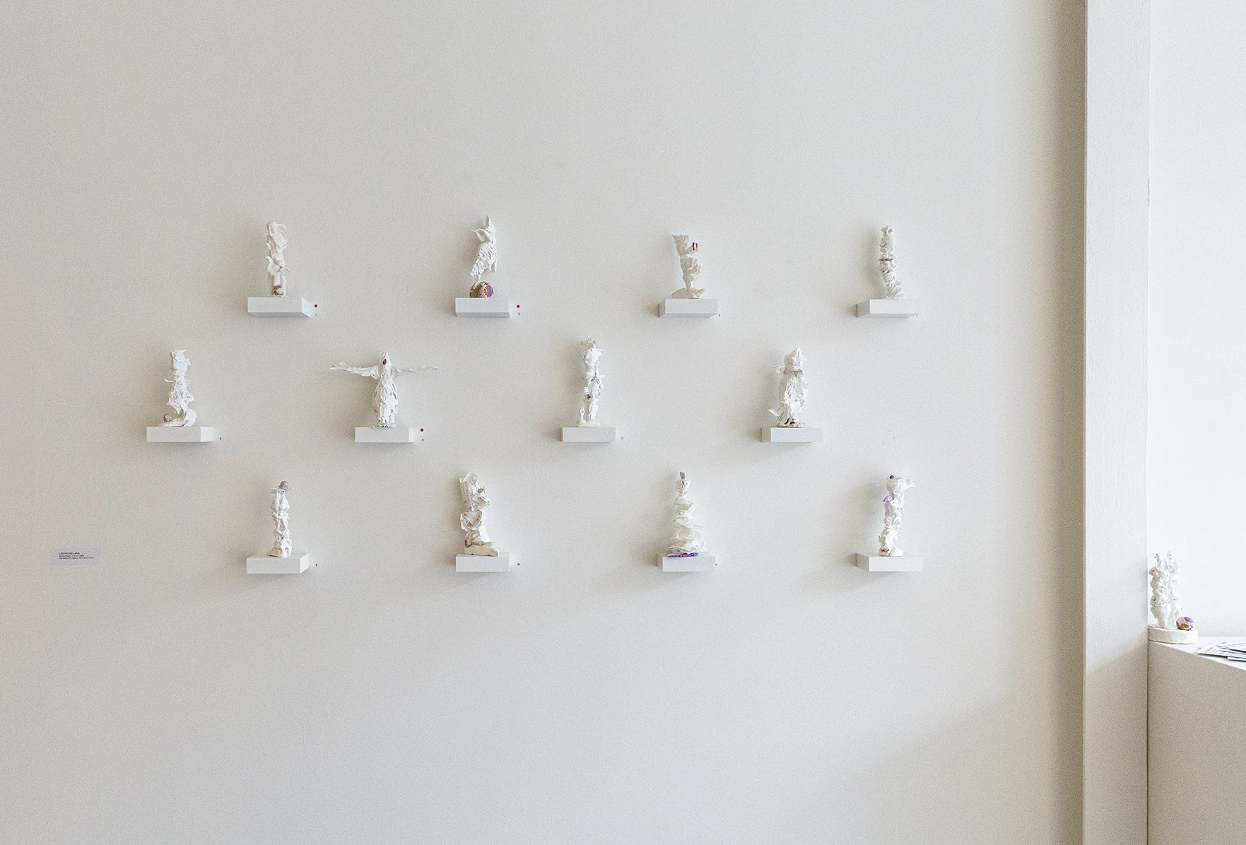 Espèce en voie d'apparition - expo 2 - 96