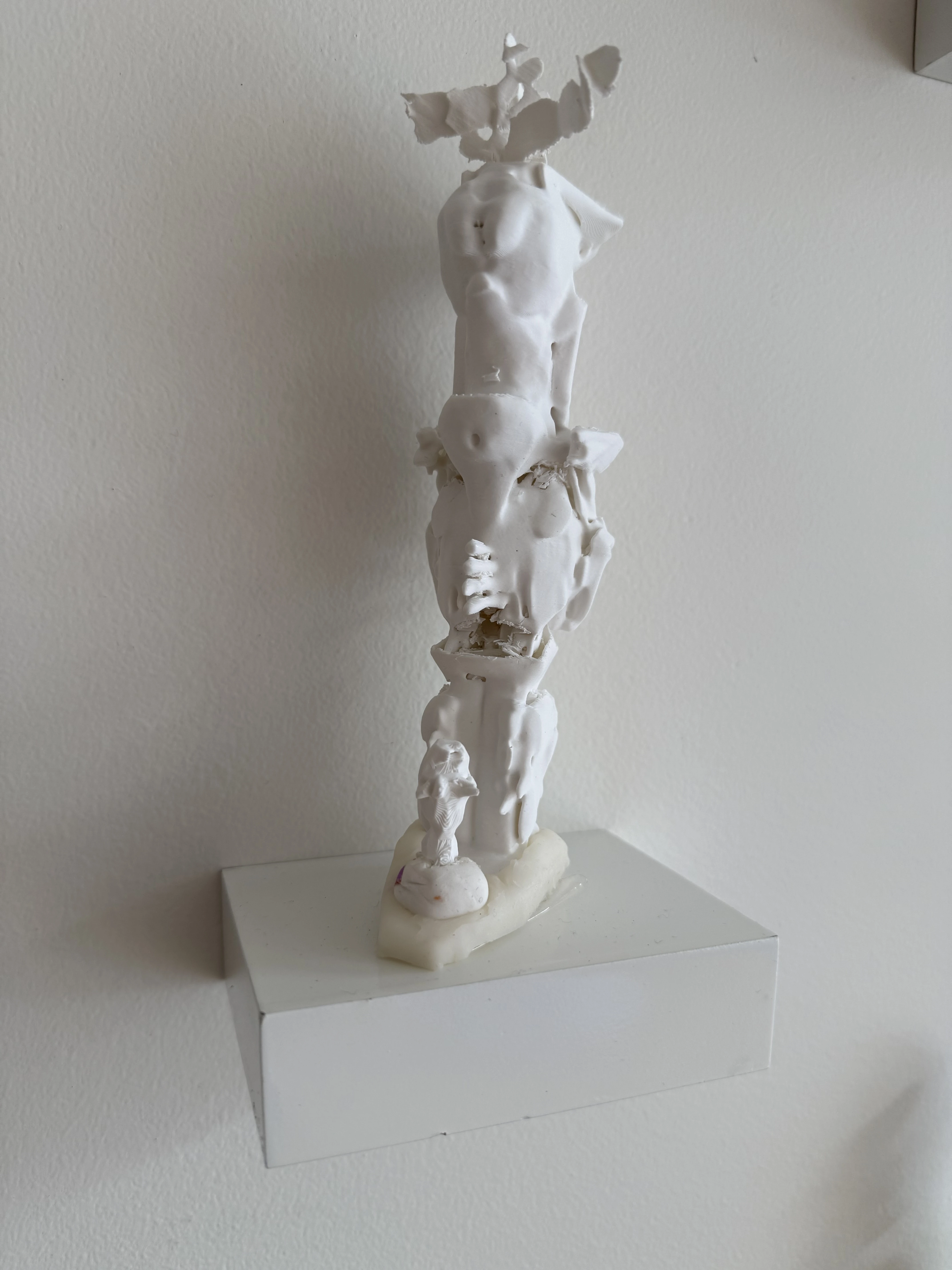 Espèce en voie d'apparition - expo 2 - 79